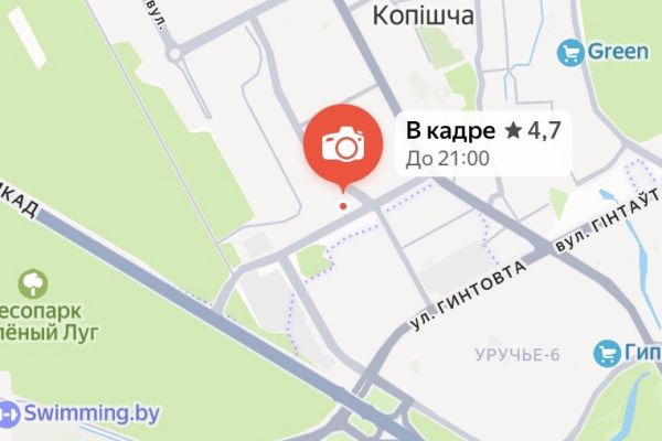 д. Копище, Леонардо да Винчи, 3